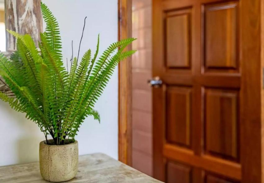 Auguste Holiday Residence Anse Etoile Luaran gambar
